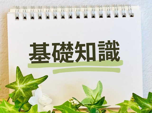 耳つぼ資格講習で学ぶ理論のポイントとは？知識を深める重要性