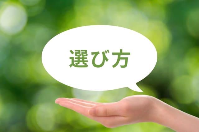 自分に合った耳つぼ資格スクールの選び方と判断基準