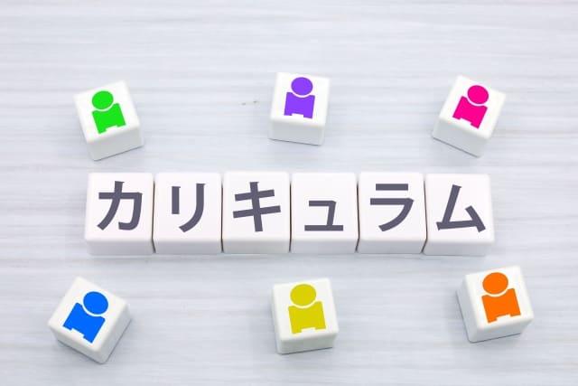 耳つぼ資格講座で学べるカリキュラムの概要